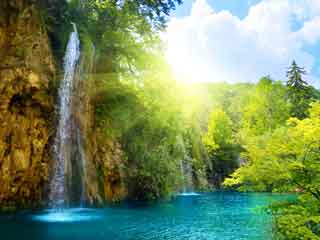 waterfalls in forest
